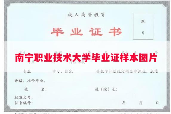 南宁职业技术大学毕业证样本图片