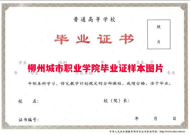 柳州城市职业学院毕业证样本图片