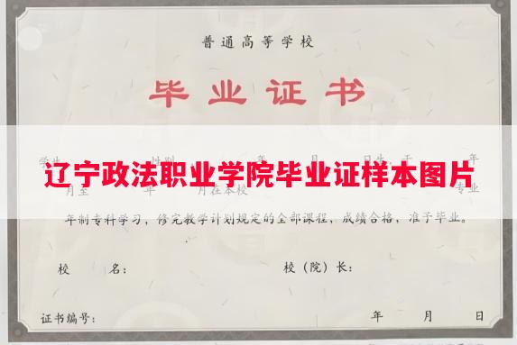 辽宁政法职业学院毕业证样本图片
