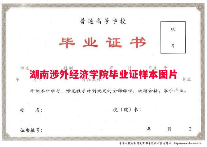 湖南涉外经济学院毕业证样本图片