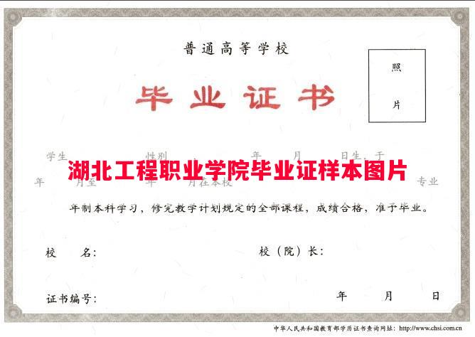 湖北工程职业学院毕业证样本图片