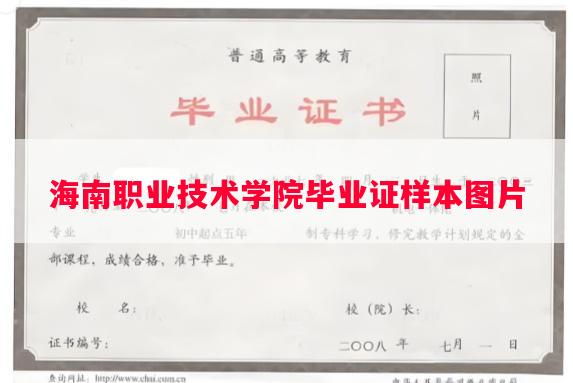 海南职业技术学院毕业证样本图片