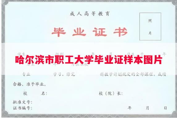 哈尔滨市职工大学毕业证样本图片