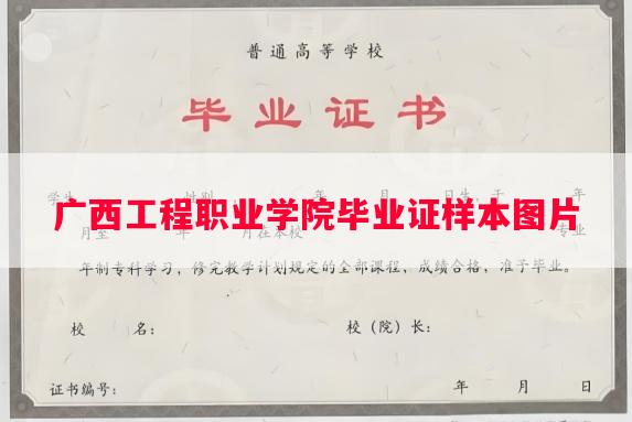 广西工程职业学院毕业证样本图片