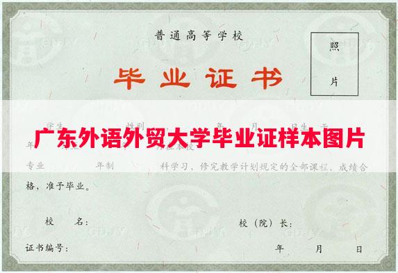 广东外语外贸大学毕业证样本图片