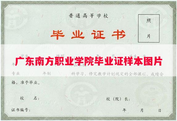 广东南方职业学院毕业证样本图片