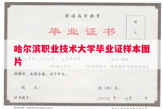 哈尔滨职业技术大学毕业证样本图片
