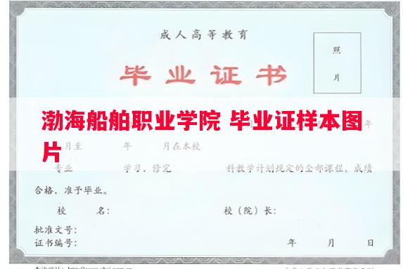 渤海船舶职业学院 毕业证样本图片