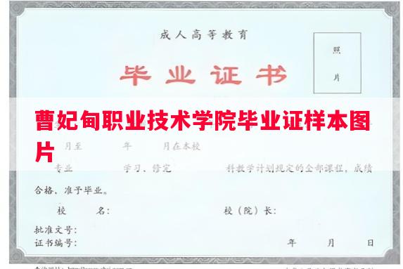 曹妃甸职业技术学院毕业证样本图片