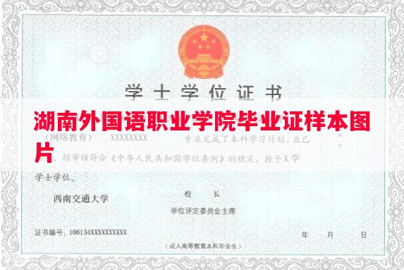 湖南外国语职业学院毕业证样本图片