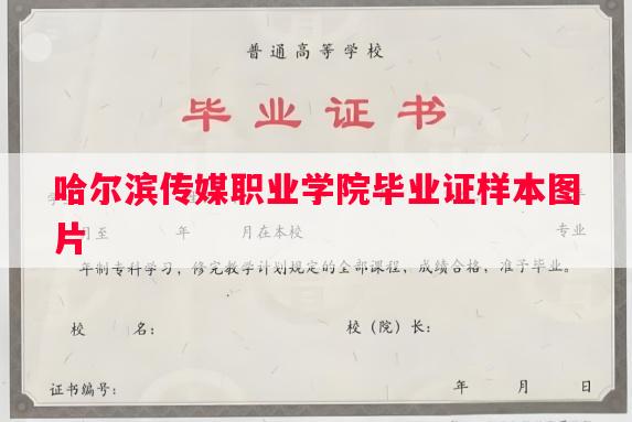 哈尔滨传媒职业学院毕业证样本图片