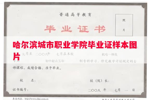哈尔滨城市职业学院毕业证样本图片