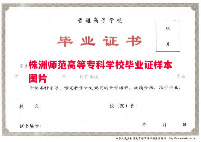株洲师范高等专科学校毕业证样本图片