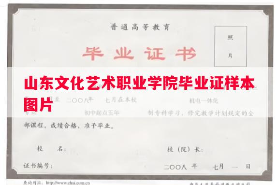 山东文化艺术职业学院毕业证样本图片