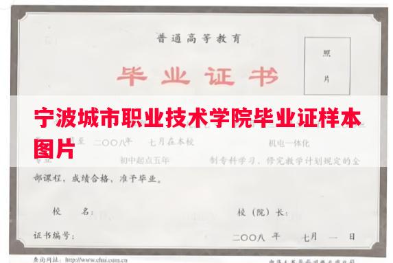 宁波城市职业技术学院毕业证样本图片