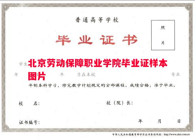 北京劳动保障职业学院毕业证样本图片