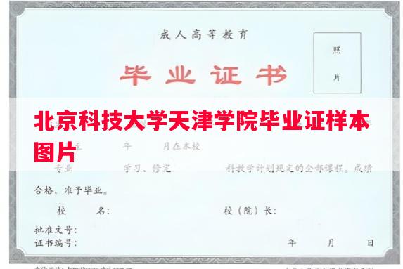 北京科技大学天津学院毕业证样本图片
