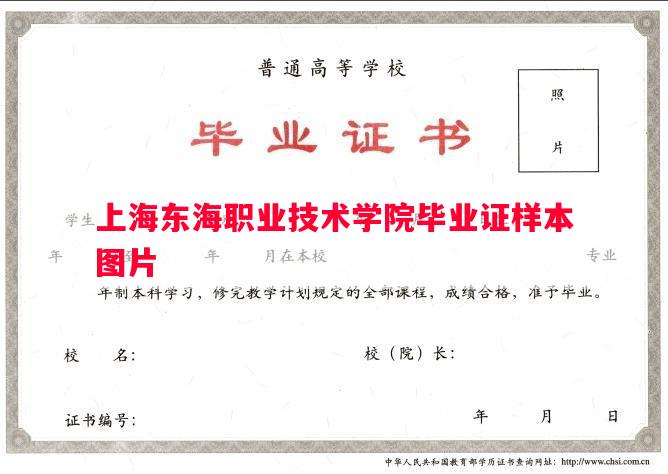 上海东海职业技术学院毕业证样本图片