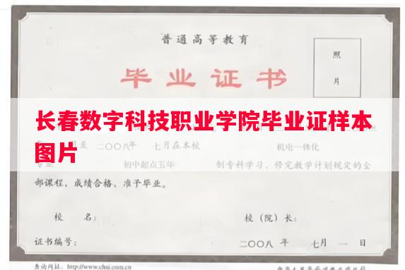 长春数字科技职业学院毕业证样本图片