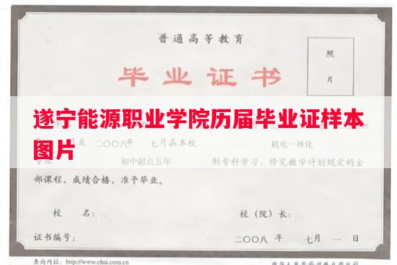 遂宁能源职业学院历届毕业证样本图片