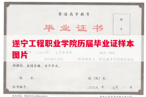 遂宁工程职业学院历届毕业证样本图片