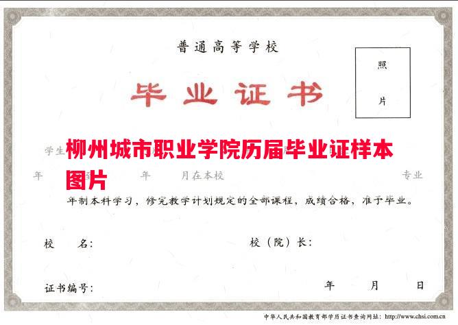 柳州城市职业学院历届毕业证样本图片