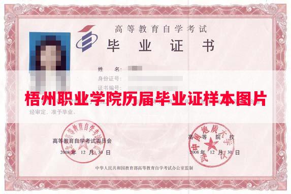 梧州职业学院历届毕业证样本图片