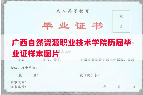 广西自然资源职业技术学院历届毕业证样本图片