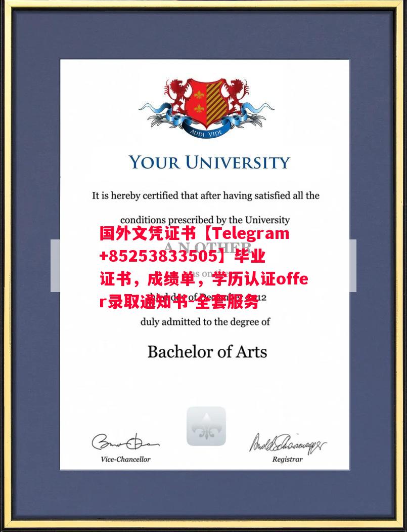 德国亚琛工业大学毕业证书样本成绩单