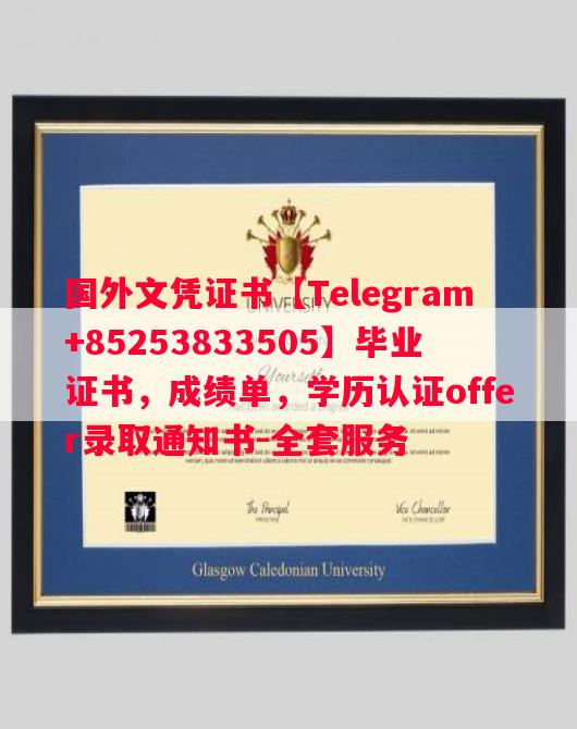 马赛大学毕业证书样本成绩单