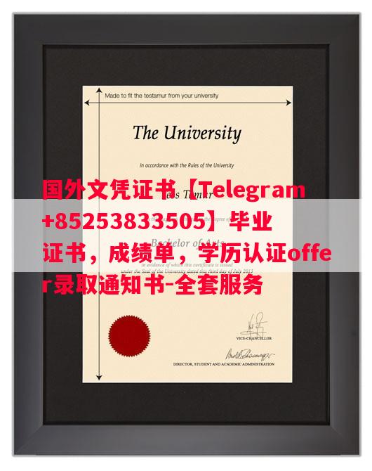 洛林大学毕业证书样本成绩单