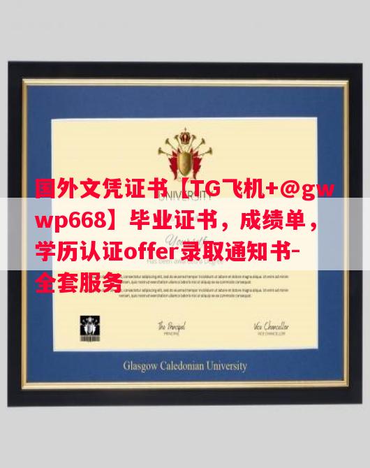 维罗纳大学毕业证书样本成绩单